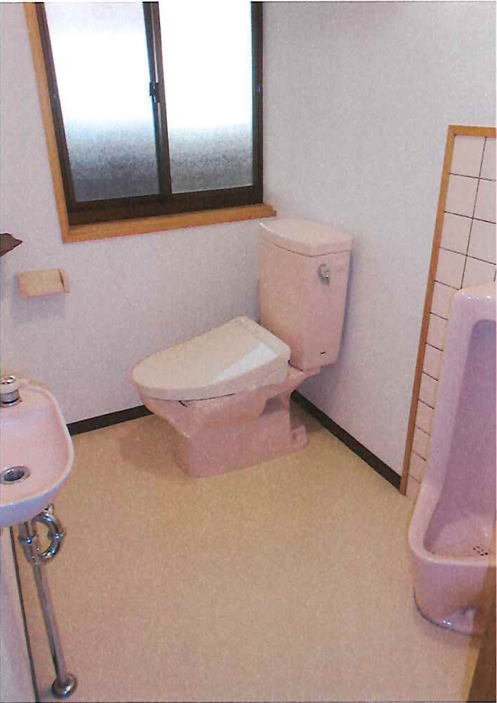 Cabinet de toilette Sud avec WC Washlet et urinoir mural