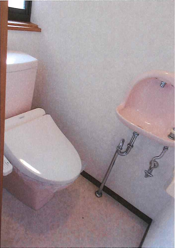 Cabinet de toilette Nord avec WC Washlet