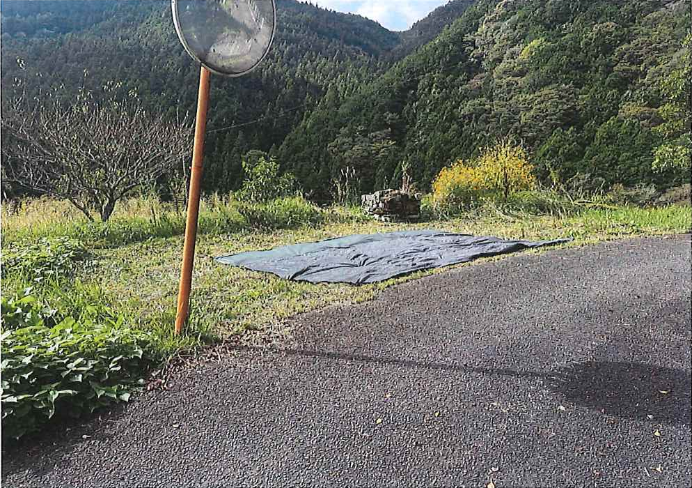 Route d'accès et miroir de sécurité routière